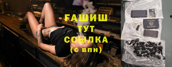 гашик Алексеевка