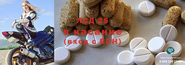 крисы Алзамай