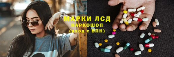 крисы Алзамай